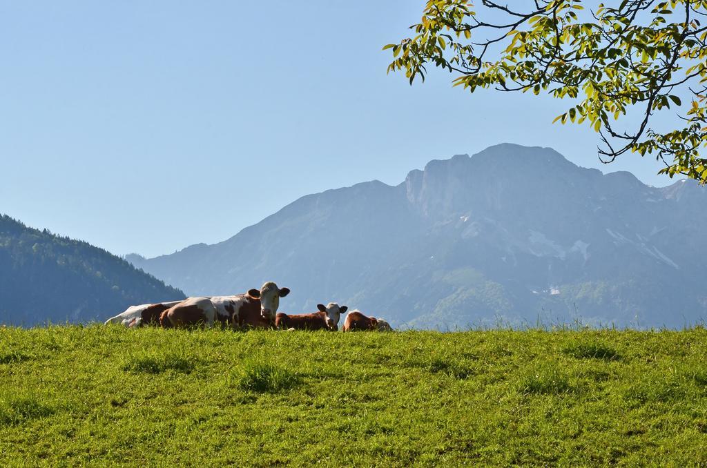 Ferienwohnungen Woferllehen Berchtesgaden Kültér fotó