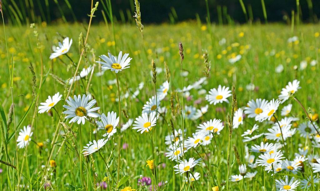 Ferienwohnungen Woferllehen Berchtesgaden Kültér fotó